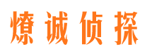 宁乡市调查公司